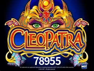 Live Casino 78955